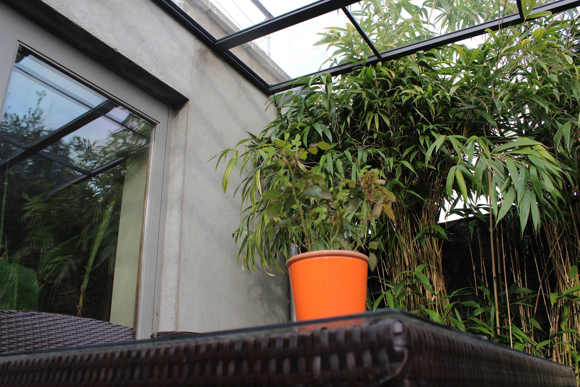 Harold's Cross, Aluminum Canopy with Decking